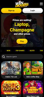 WinDiggers Casino Sister Sites, Rewards, Games and Extra